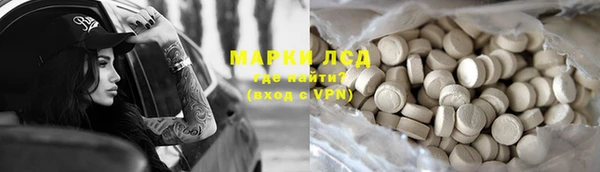 spice Аркадак