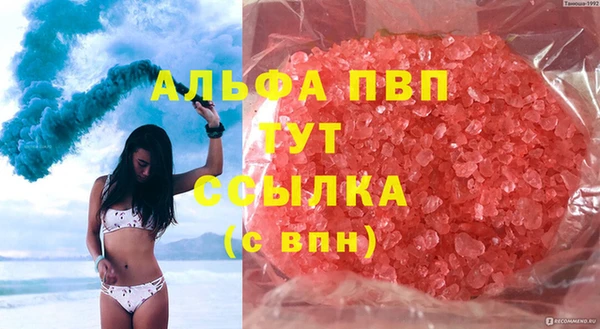 spice Аркадак