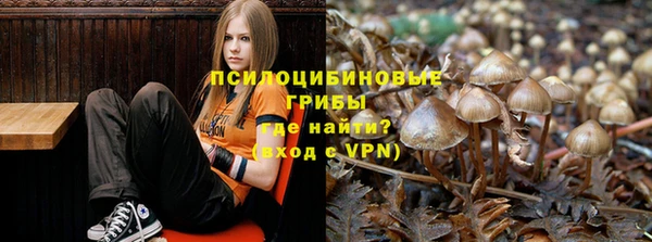 ALPHA PVP Балабаново