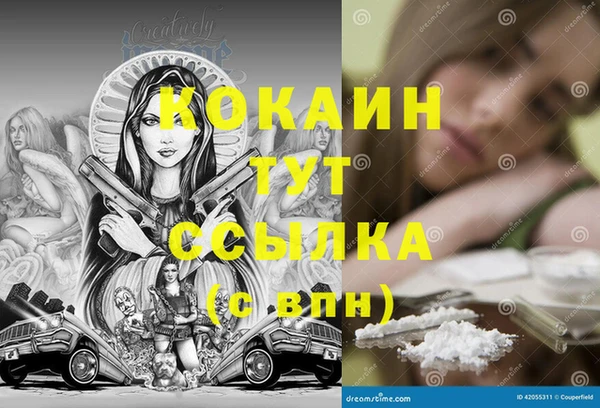 spice Аркадак