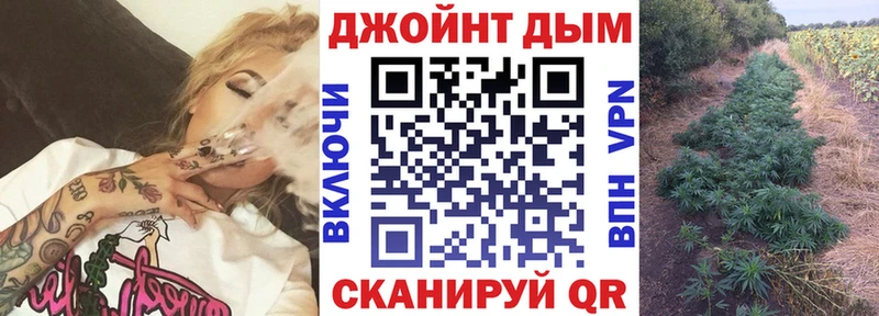 Конопля сатива  OMG ссылки  Новоузенск 